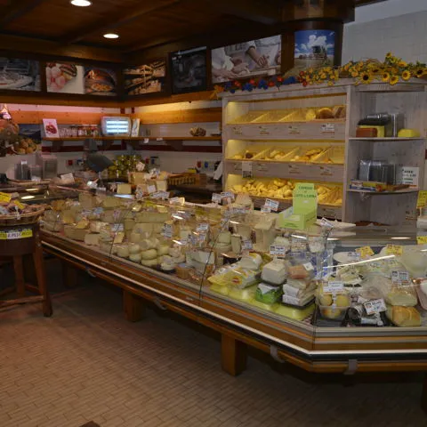 Banco formaggi